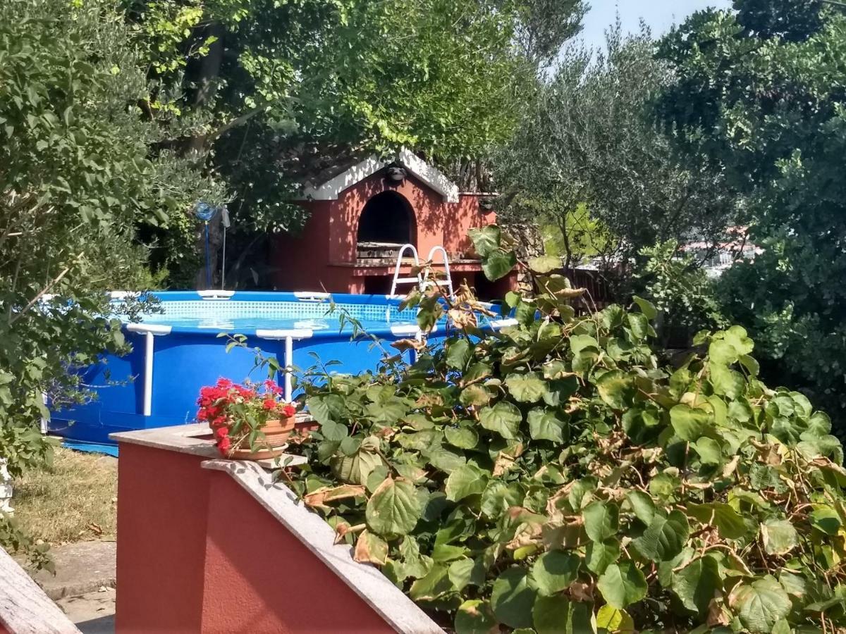Apartman Tariba سوبيتارسكا دراغا المظهر الخارجي الصورة